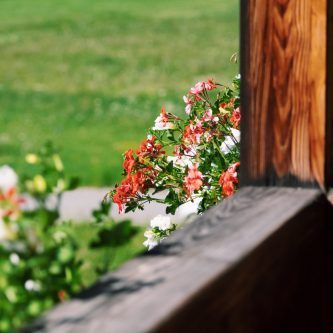 Processed with VSCO with c1 preset